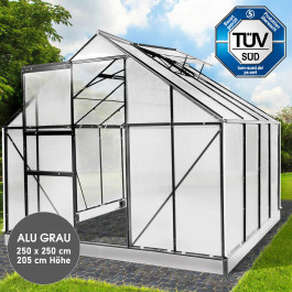 Aluminium Gewächshaus 250x250x205 anthrazit