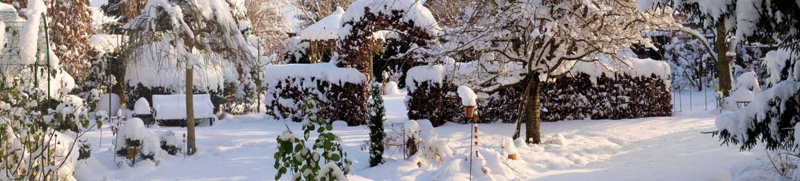verschneiter Garten im Winter 